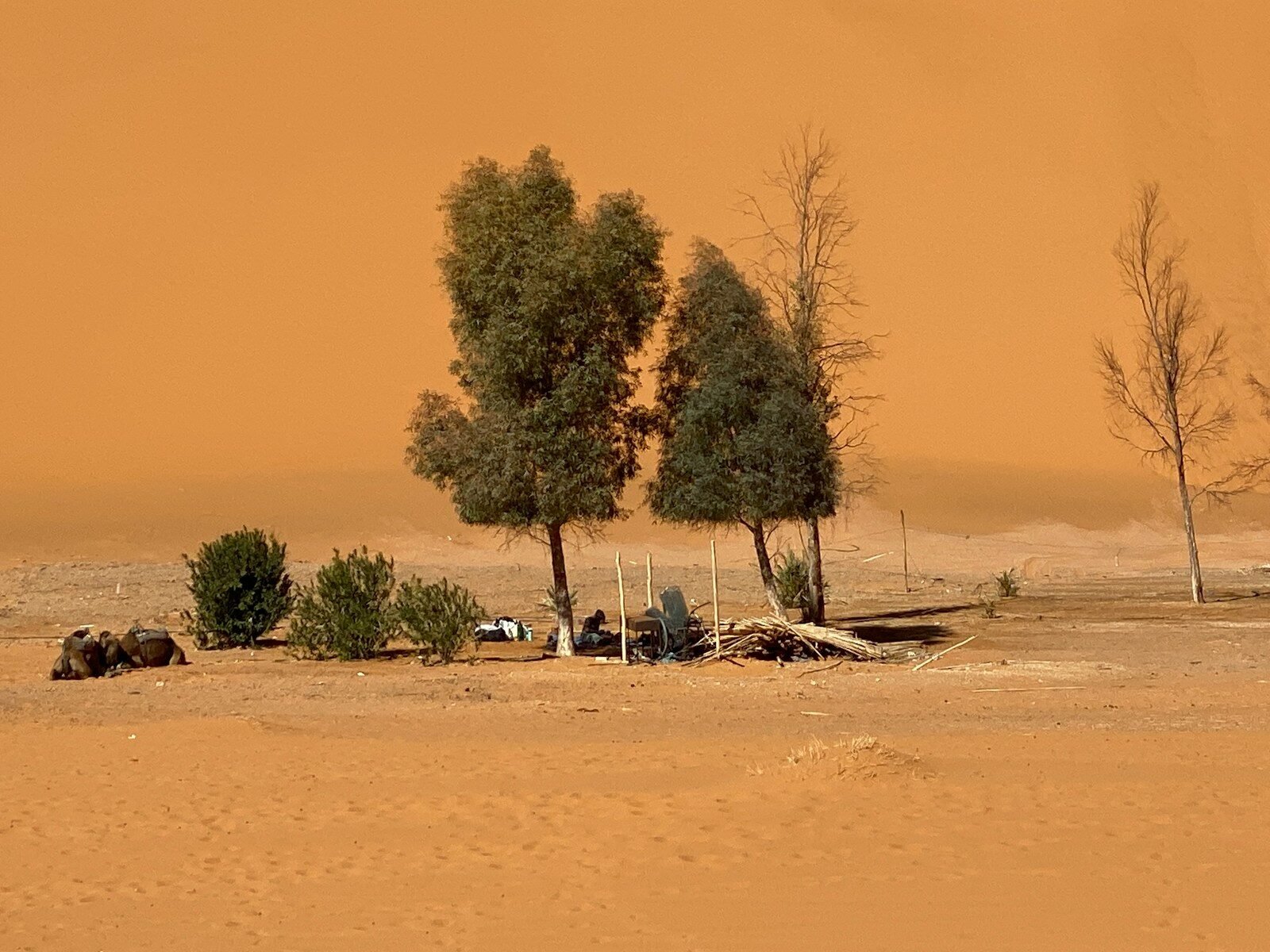 Contact Viaggia Con Redouane  in Marocco — Sahara