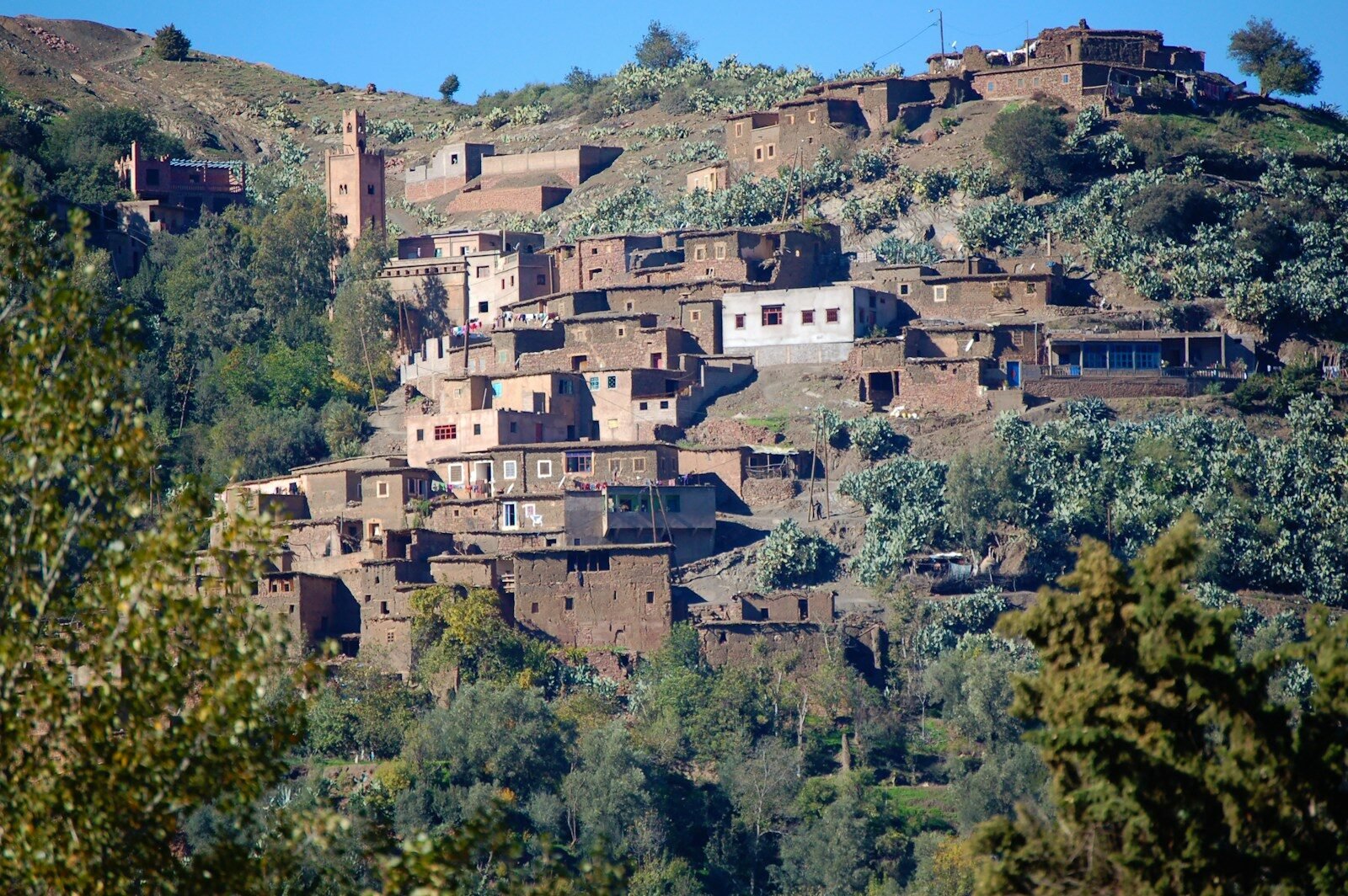 Tachedirt & High Atlas Villages Trek Experience from Marrakech