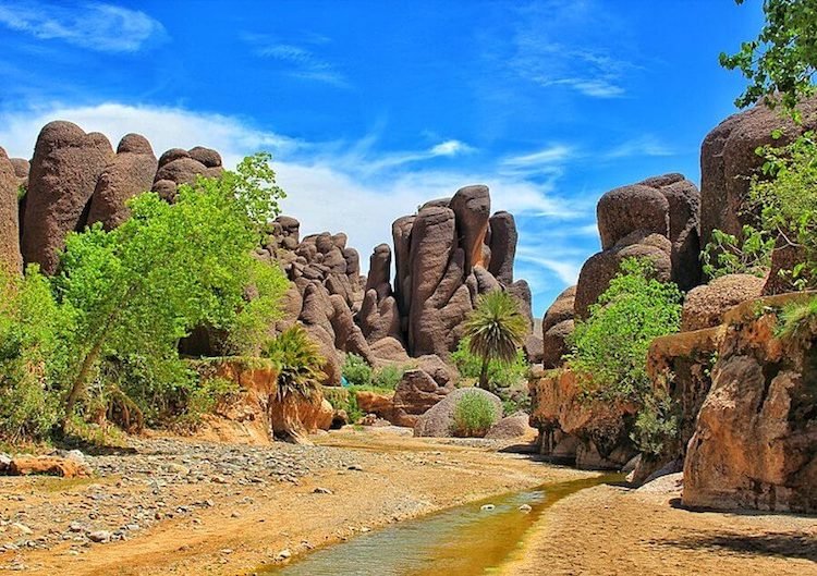 Rose Valley & Dades Gorges Scenic Tour from Marrakech