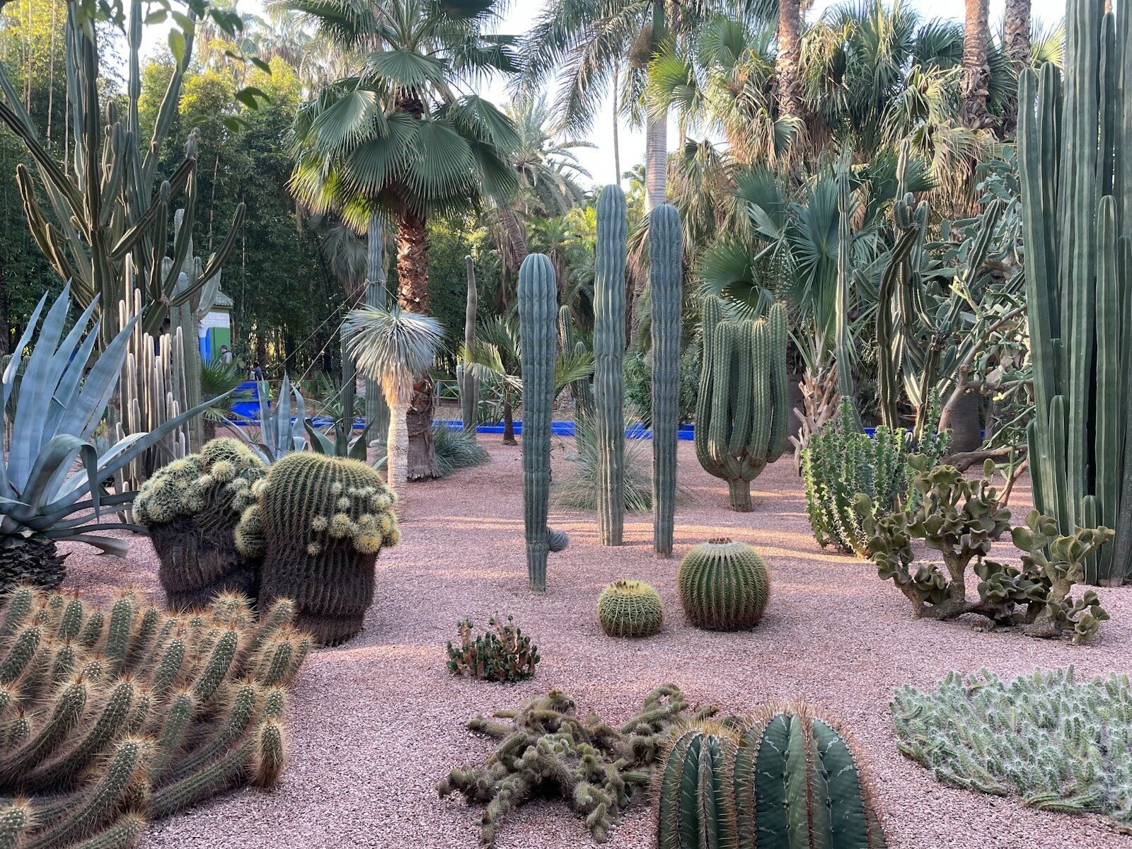 Marrakech Experience