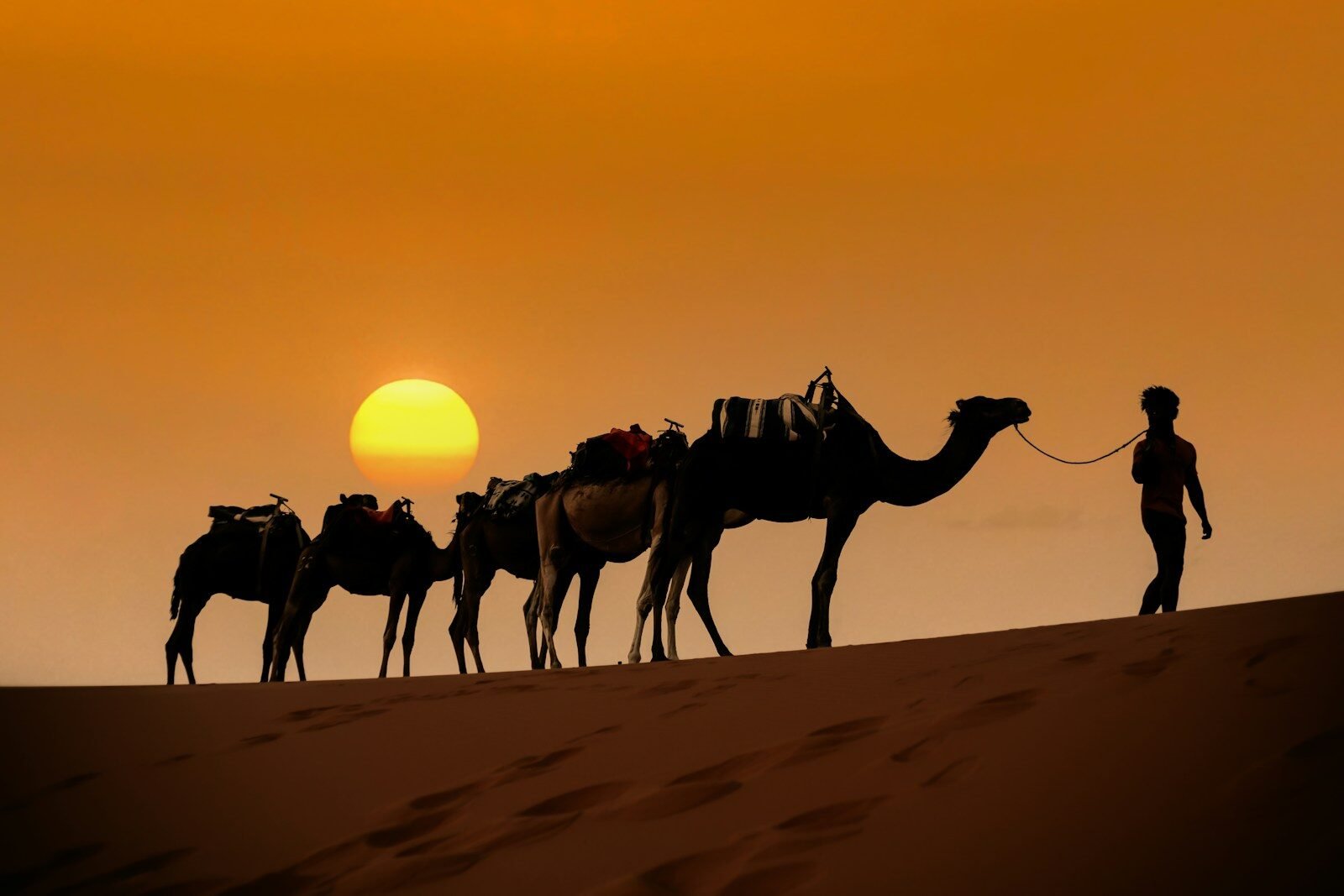 Plan your trip to Morocco