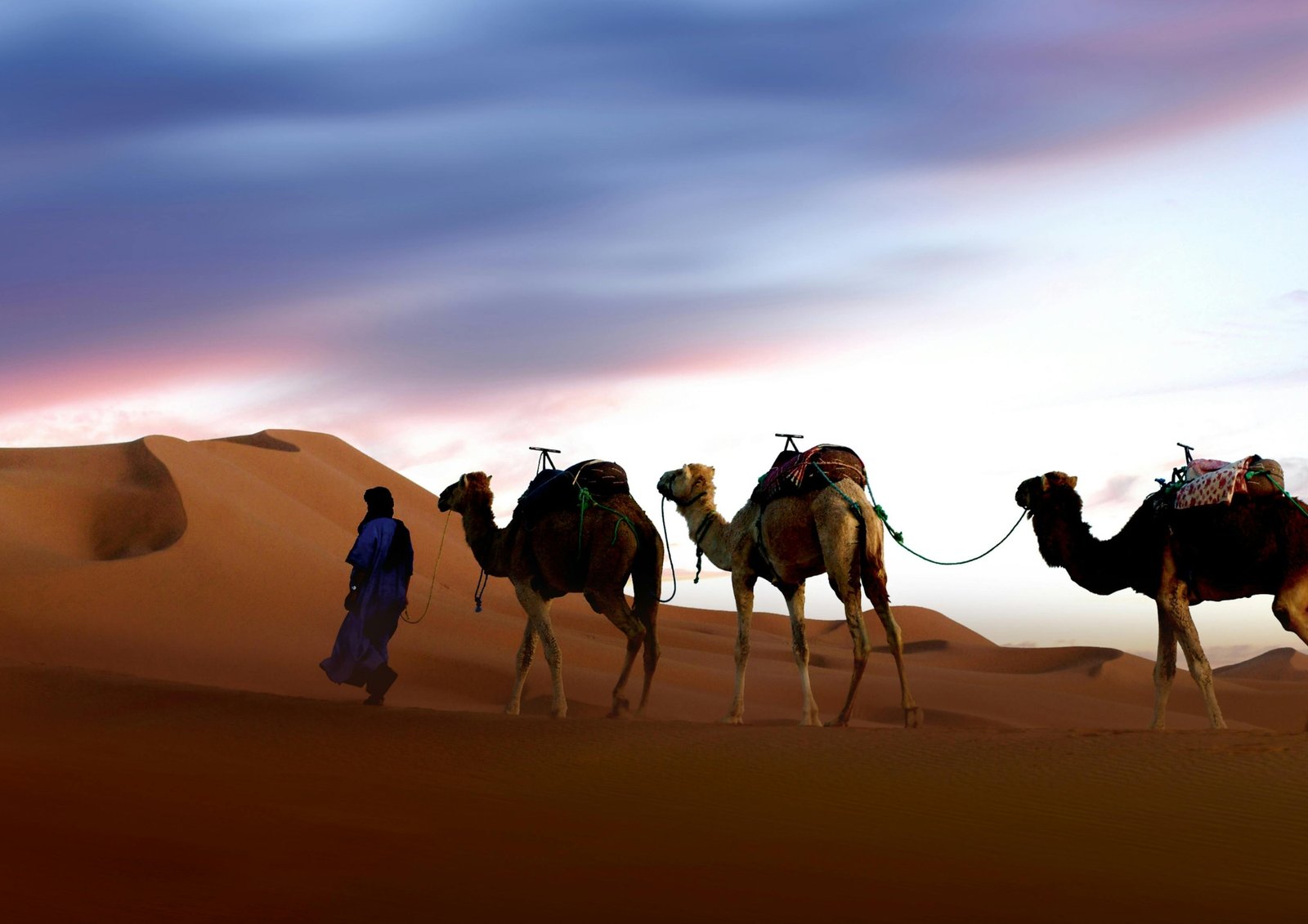 Trip Image