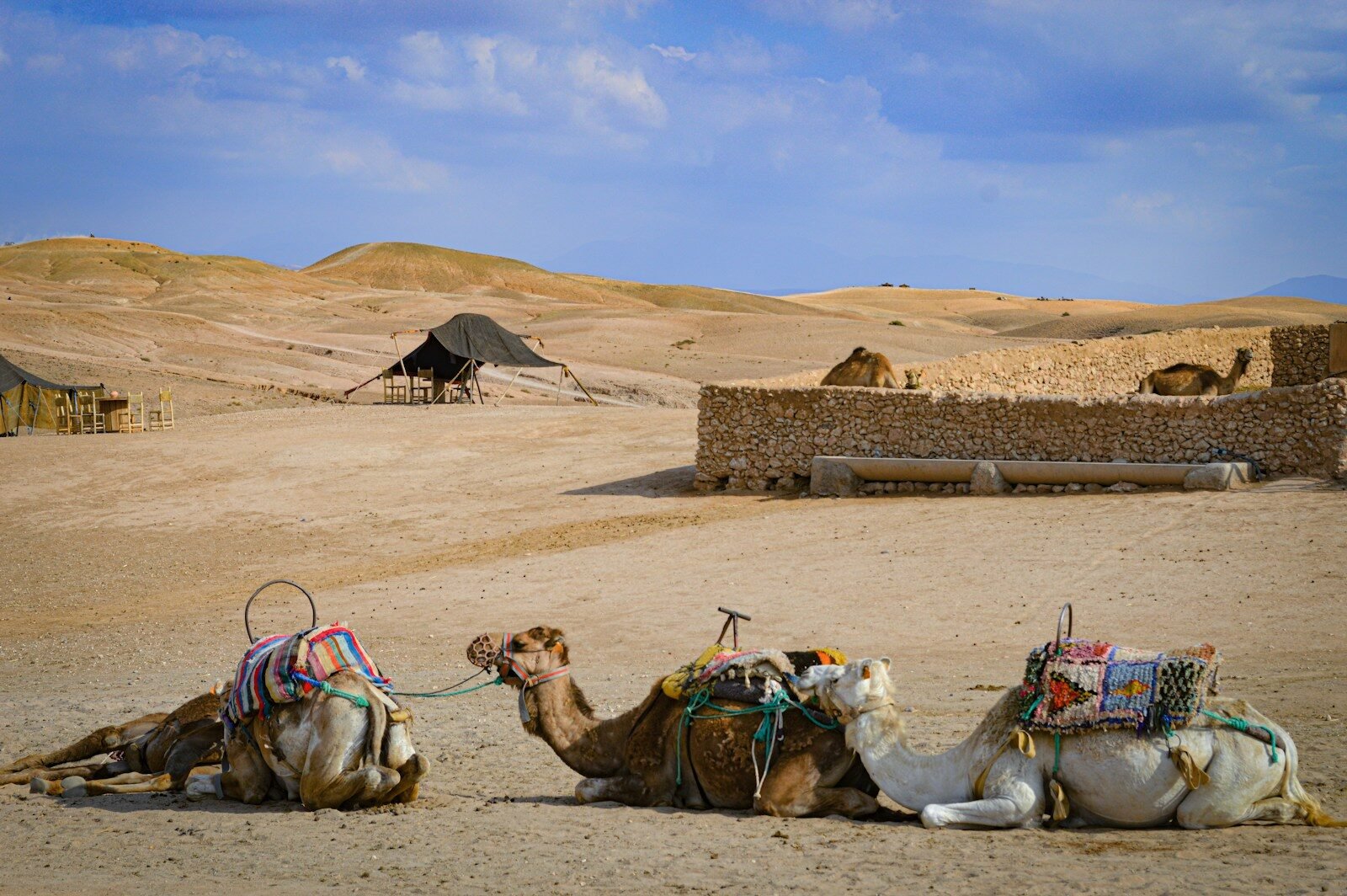 Agafay Image