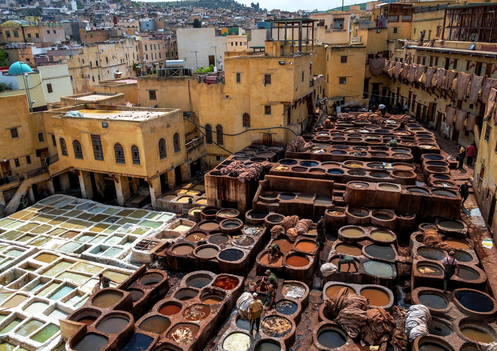 Merzouga Dunes Camels