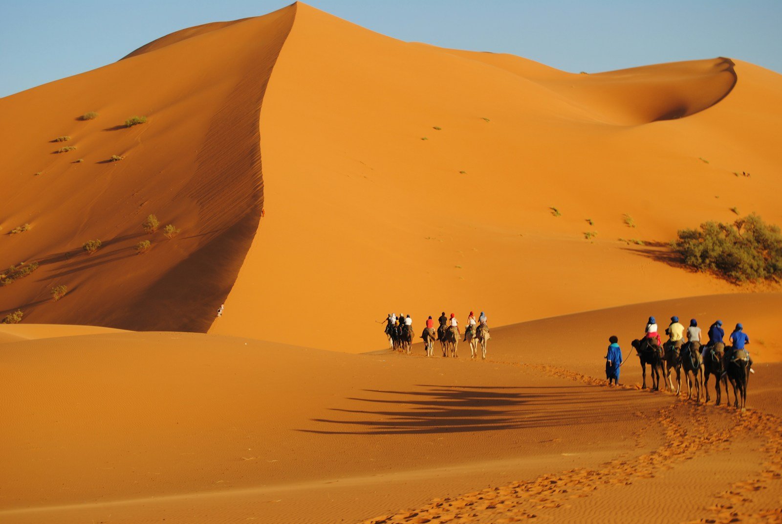 Camel Trek Zagora
