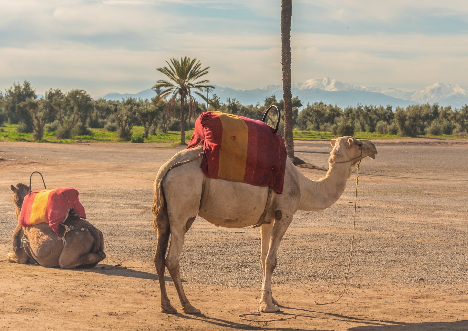 Tour through Morocco and the Sahara