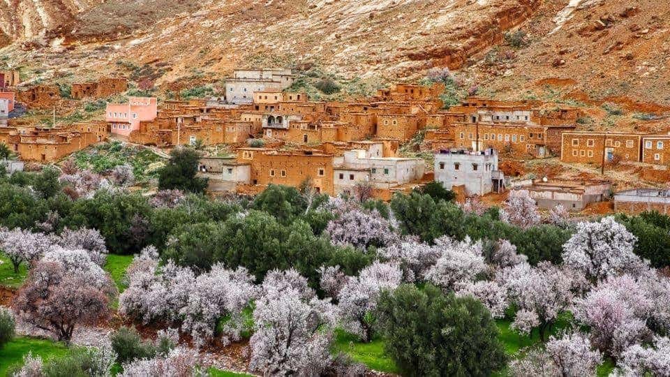 Landscapes of southern Morocco