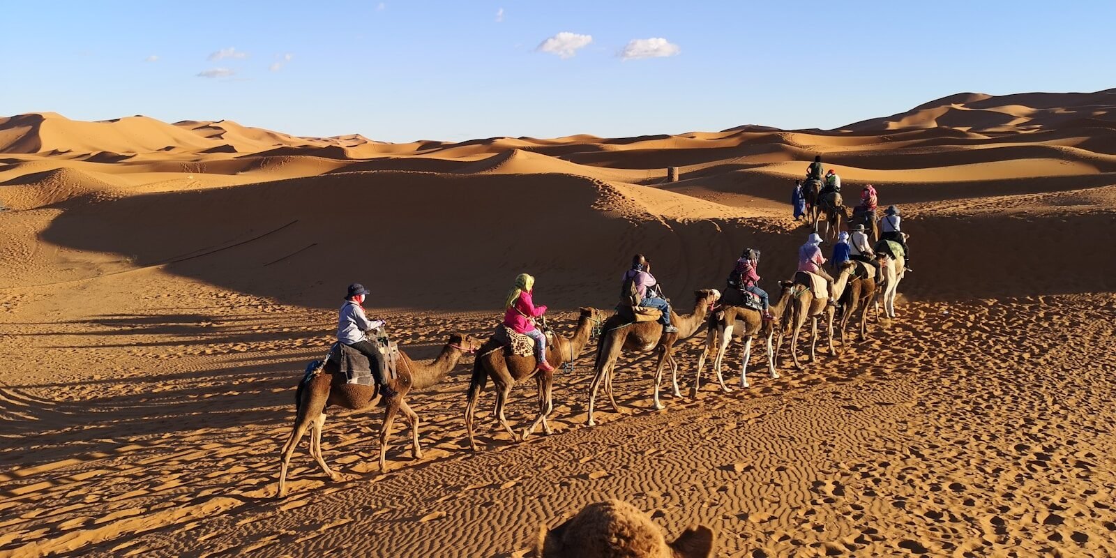 Journey to the Sahara